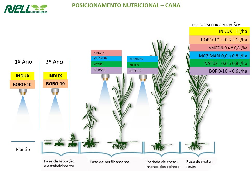 Programa Nutricional para Cana de Açúcar