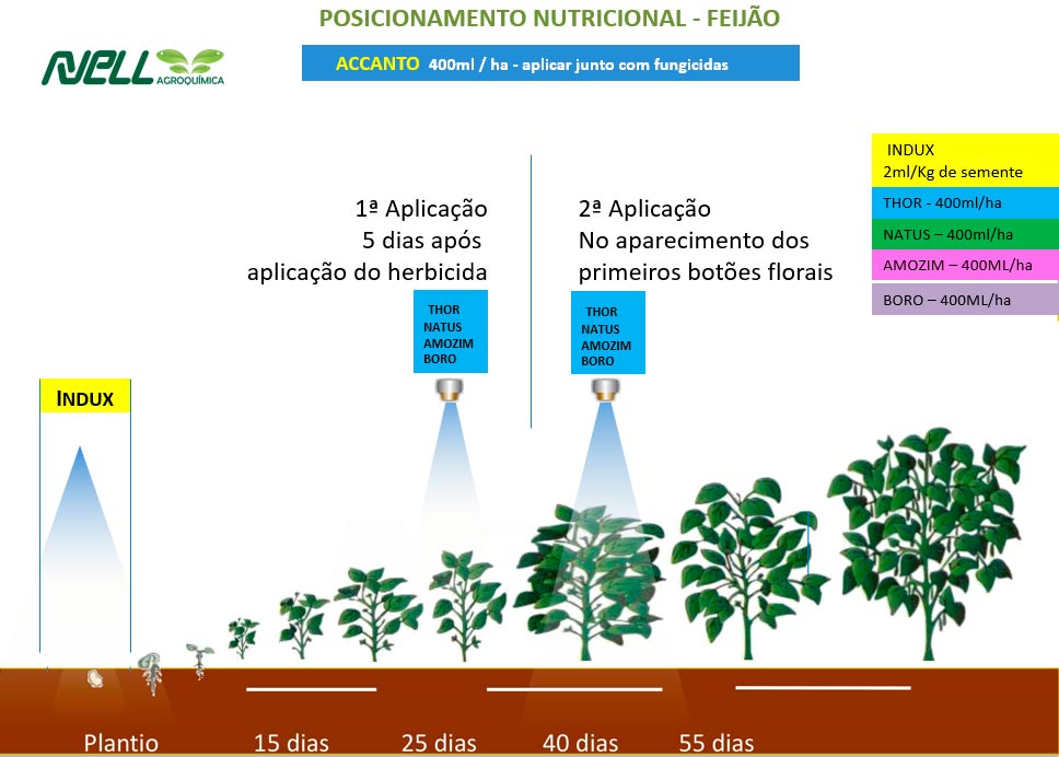 Programa Nutricional para o Cultivo de Feijão