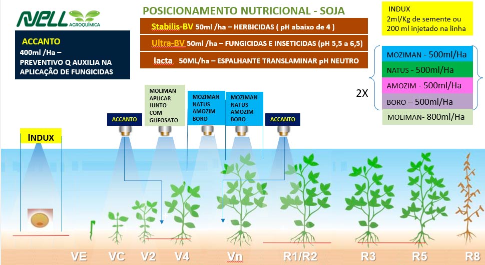 Posicionamento Nutricional na Soja